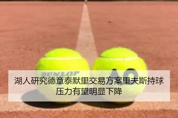 湖人研究德章泰默里交易方案里夫斯持球压力有望明显下降